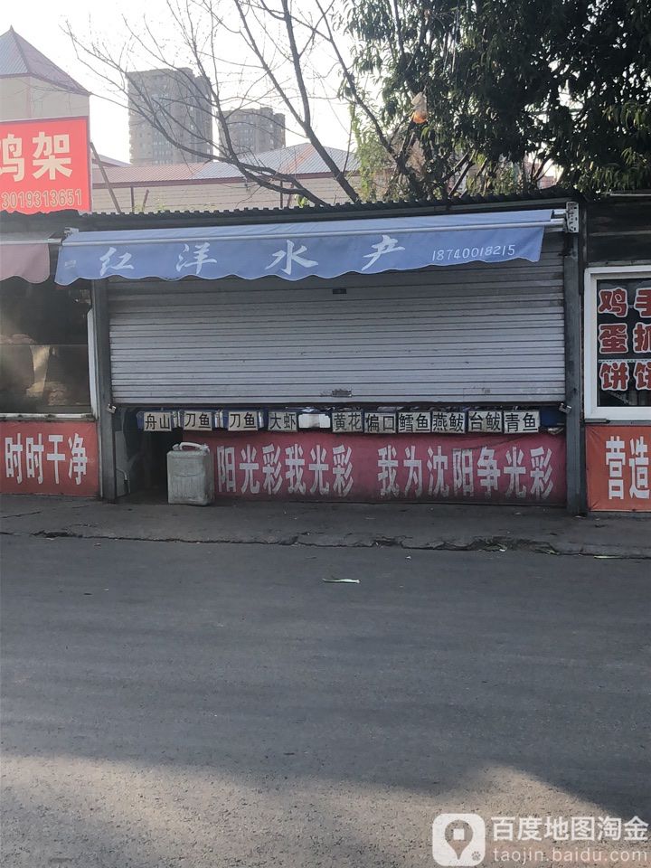 洋龙水产