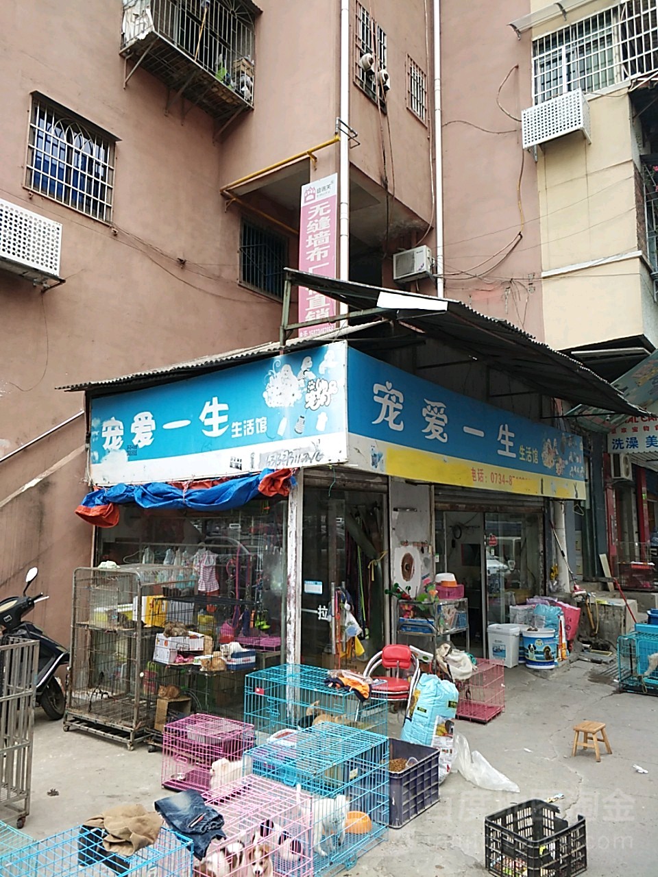 宠爱一生生活馆(蒸阳北路店)