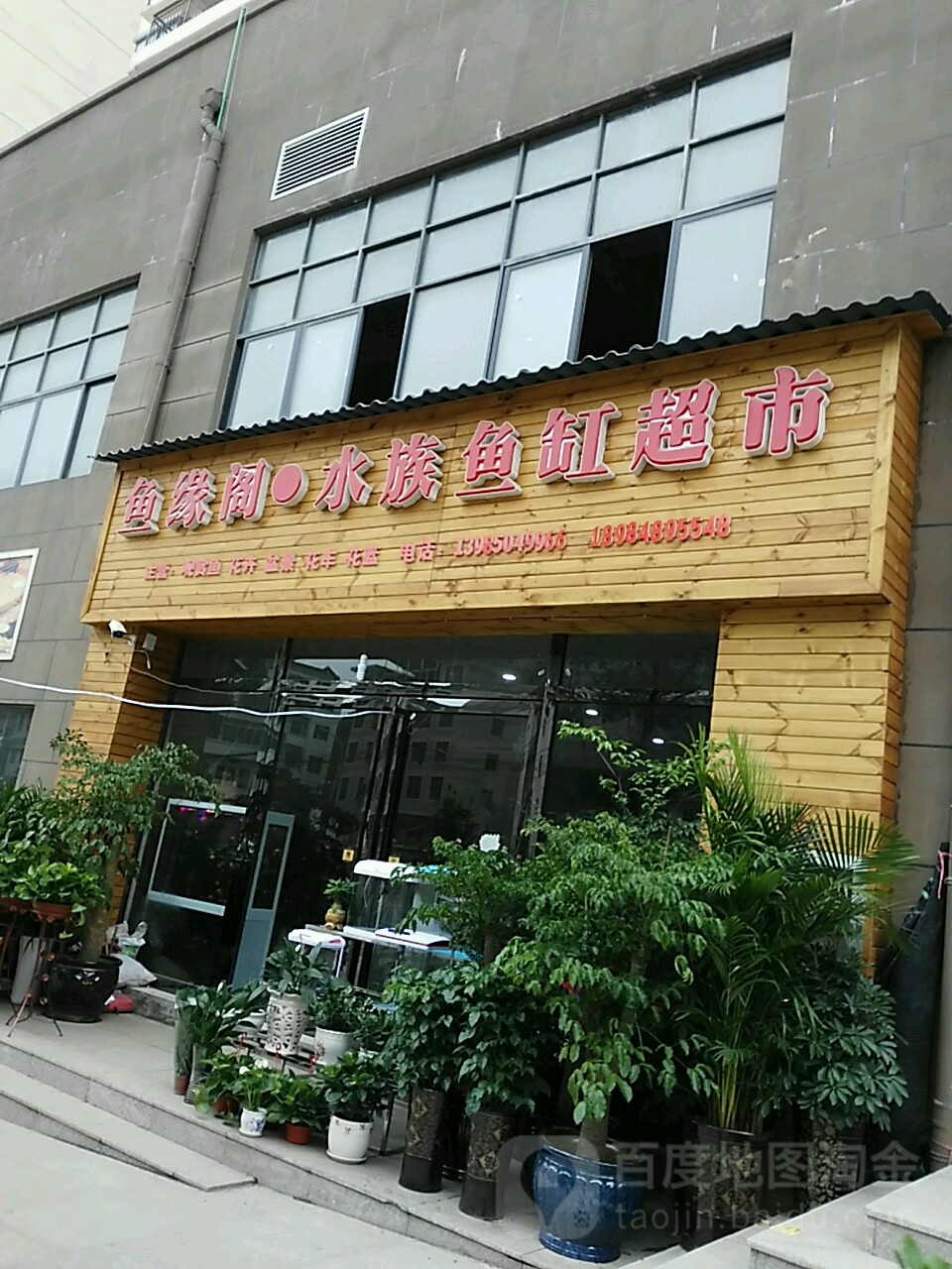 鱼缘阁水族鱼缸超市