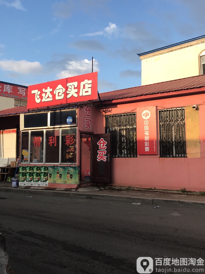 飞达苍买