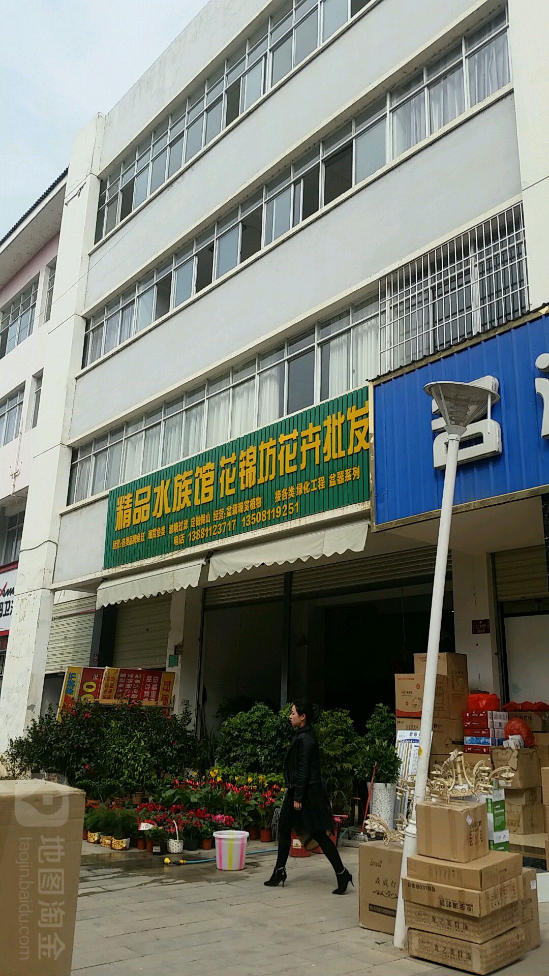 精品水族馆花锦坊花卉批发
