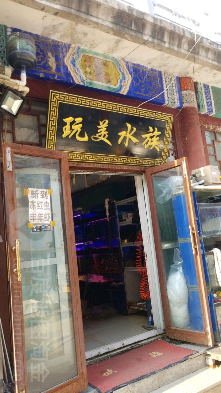 完美水族