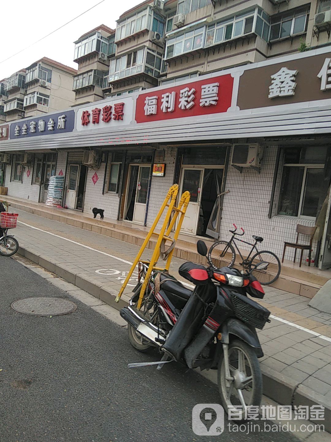 中国福利彩票(桑园路店)