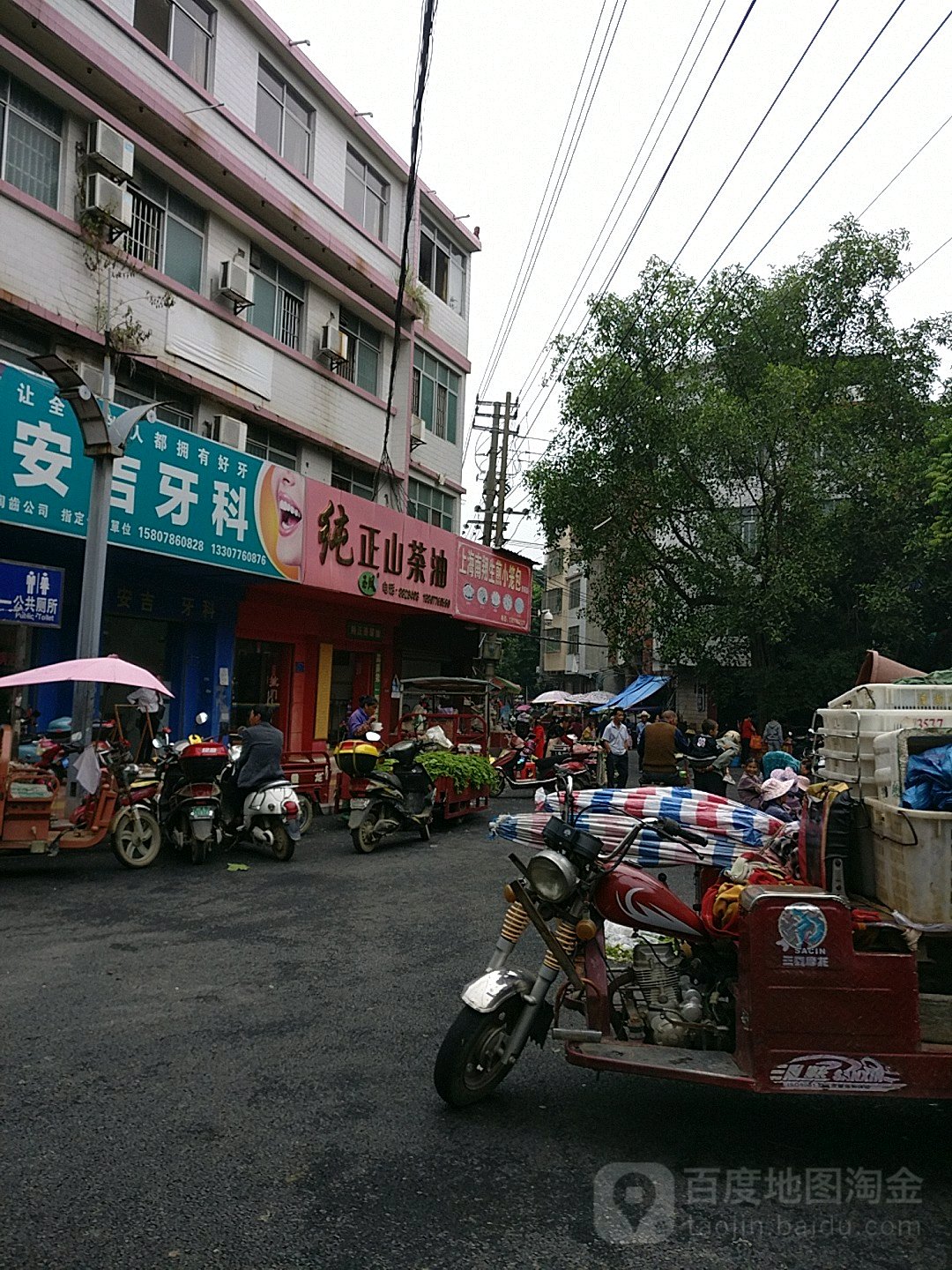 纯正山茶油