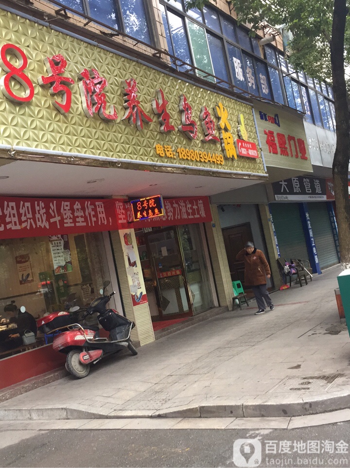 8号养生乌鱼