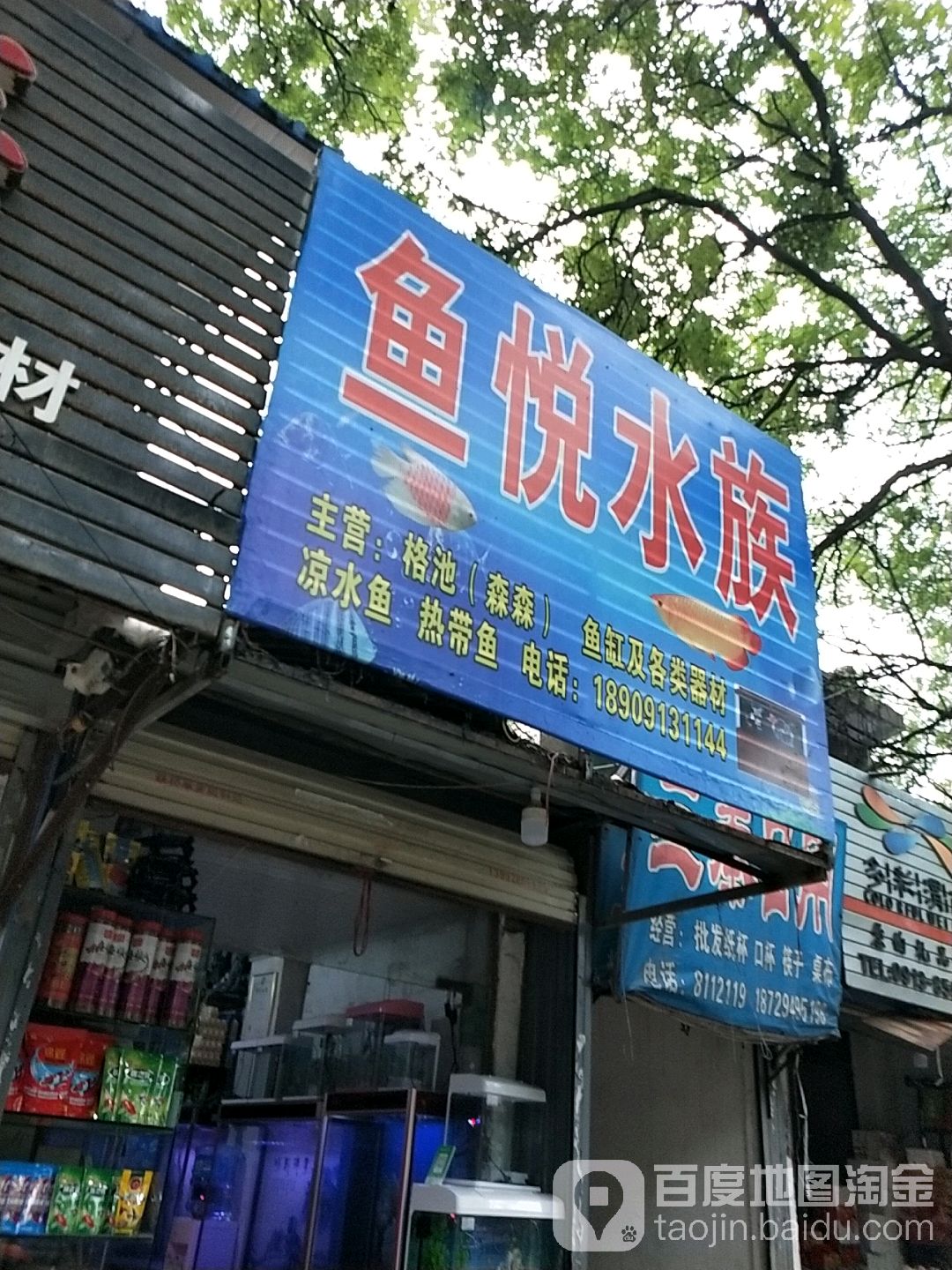 鱼悦水族(人民街店)