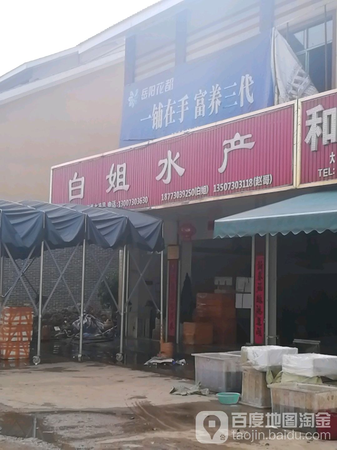 白姐水产