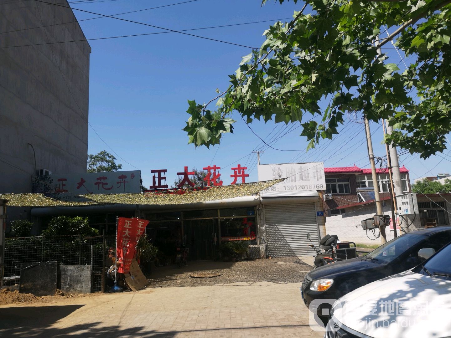 正大花卉