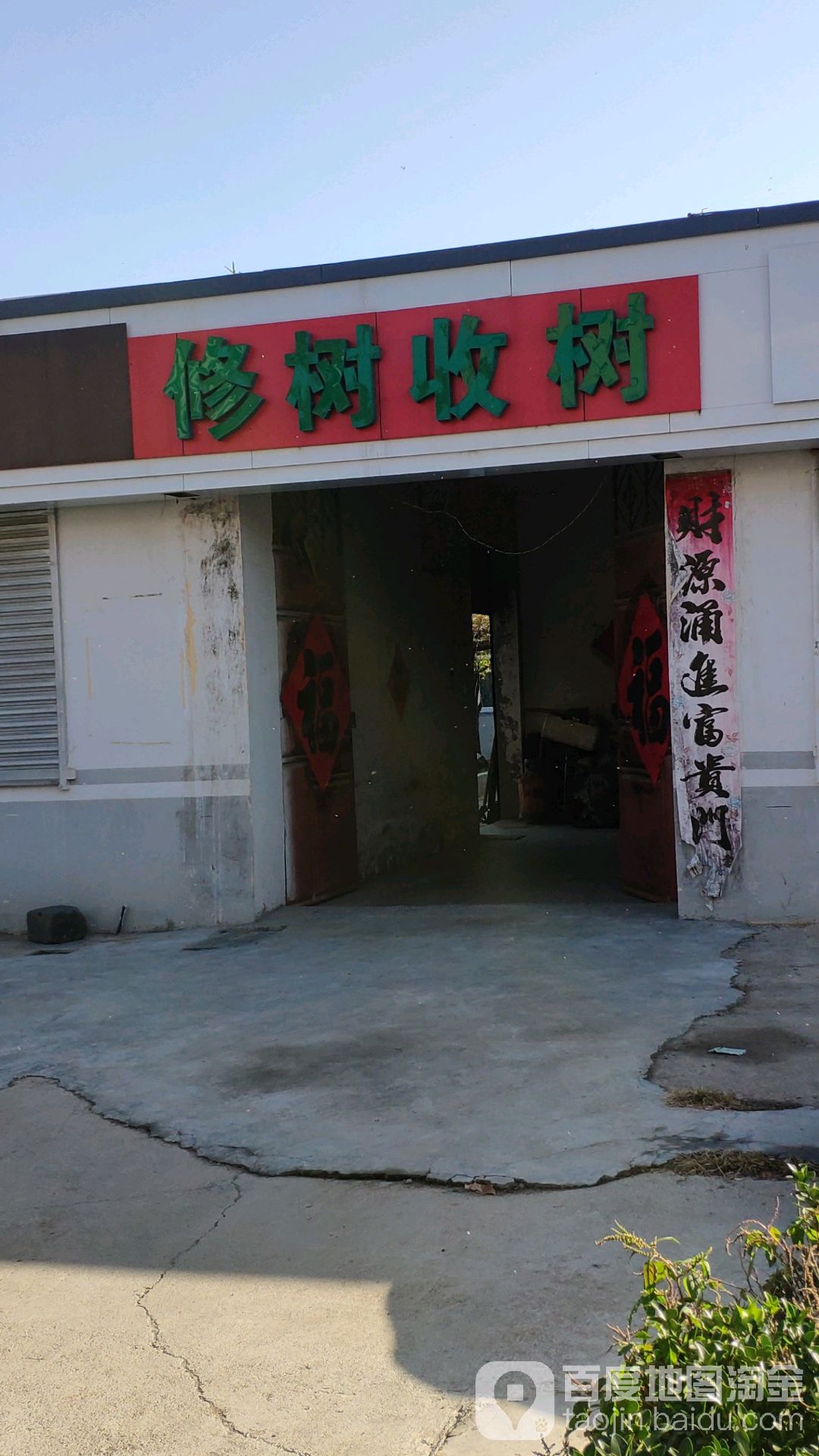 修树收书
