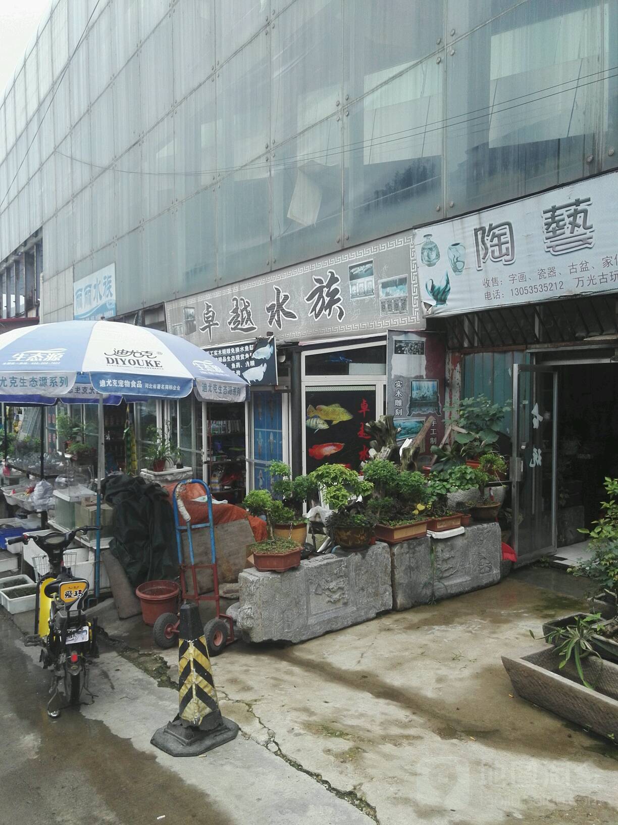 卓越水中(烟台万光古文化城店)
