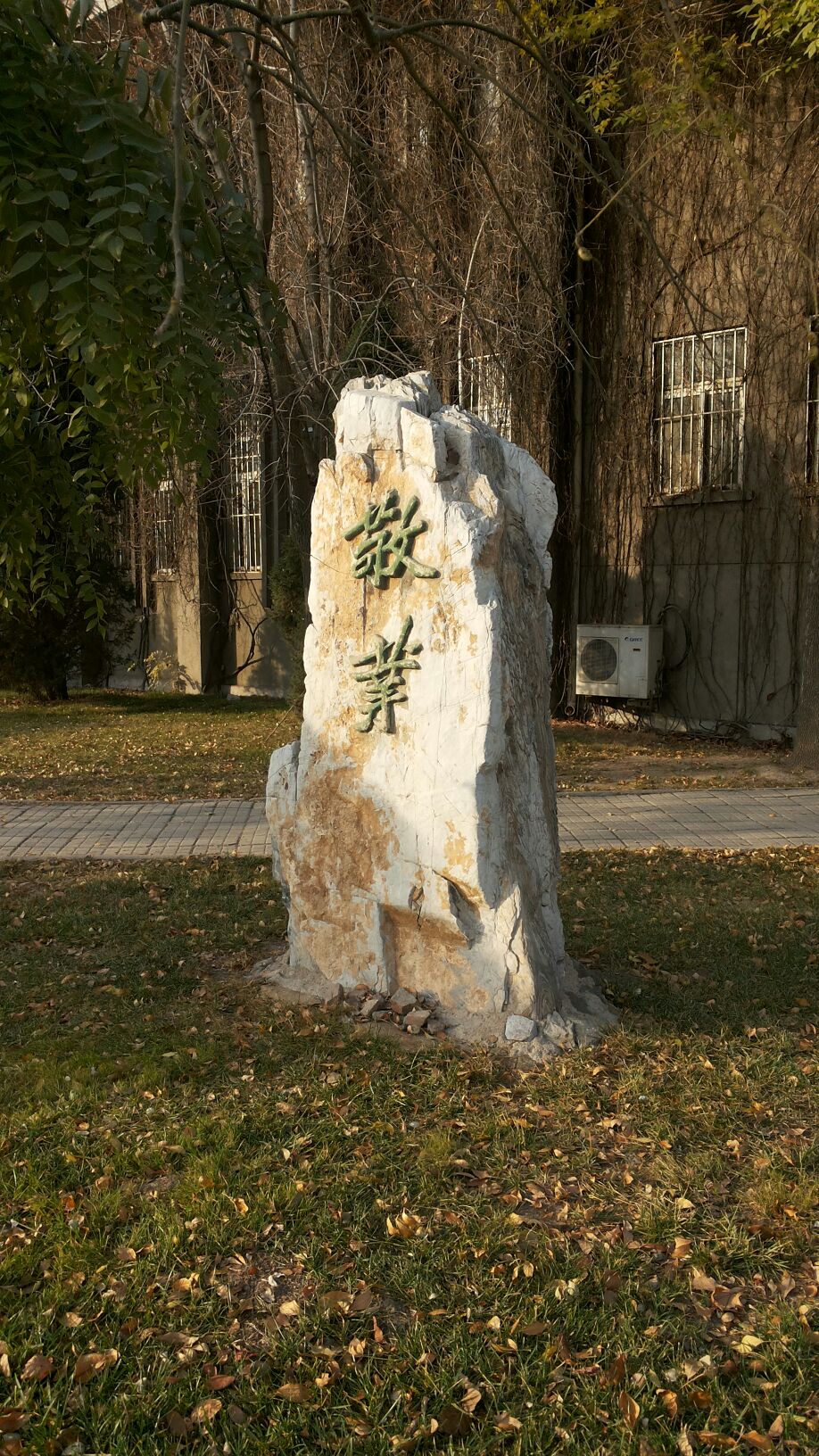 南开大学-敬业广场(卫津路)