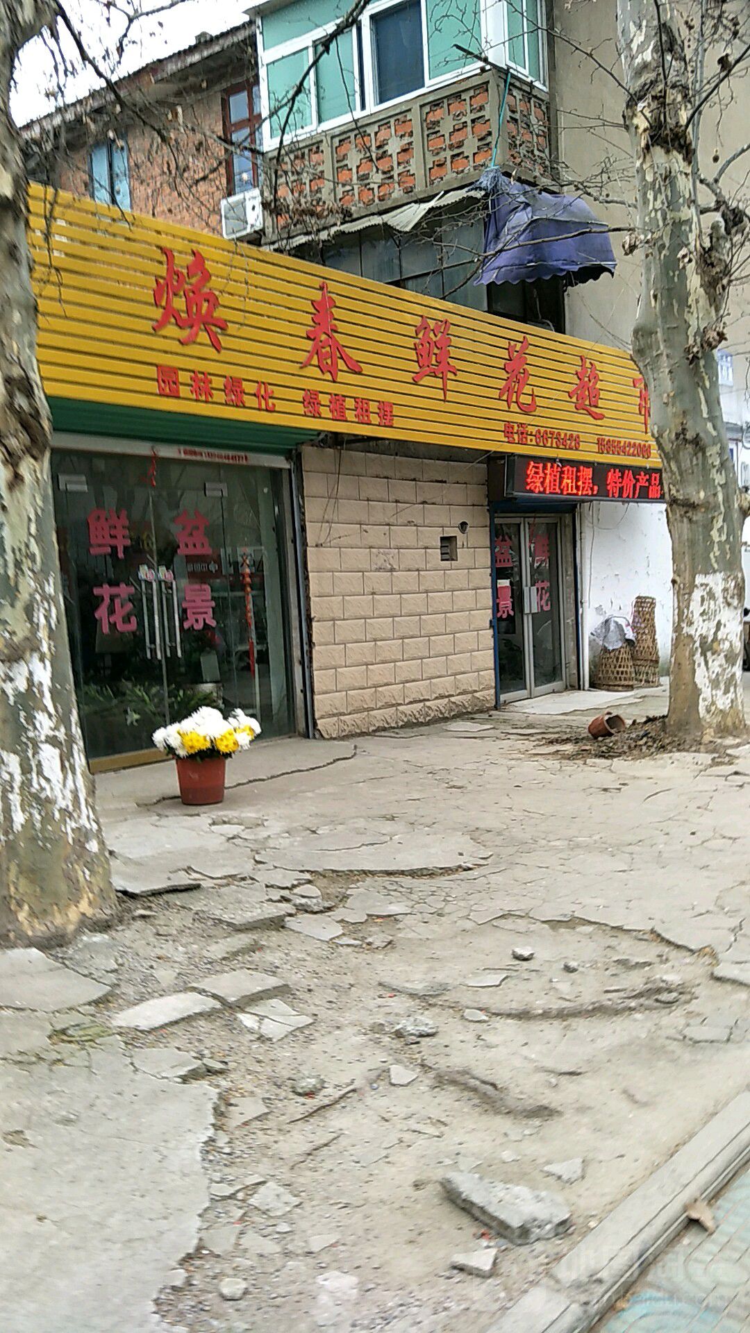 焕春鲜花超市