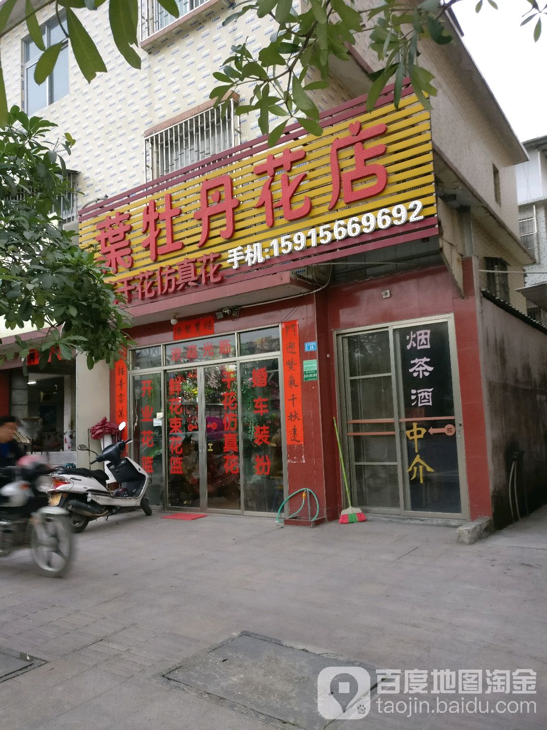 叶牡丹。花店