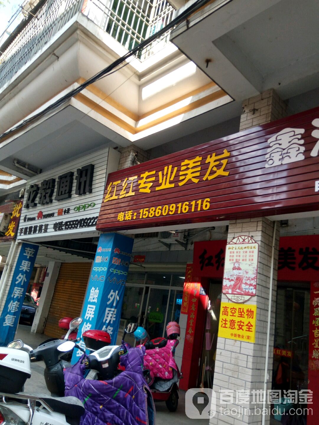 红红专业没发