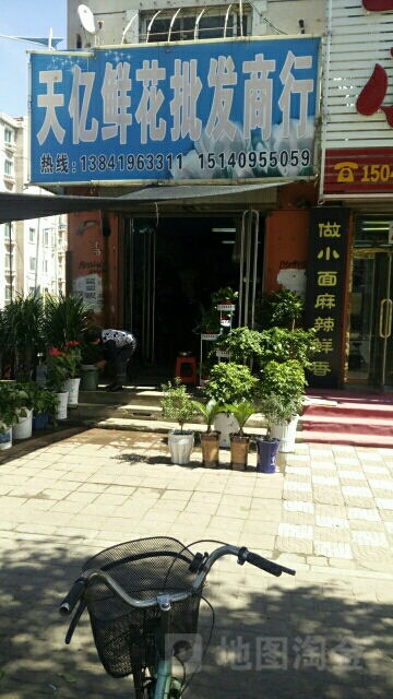 天亿鲜花批发