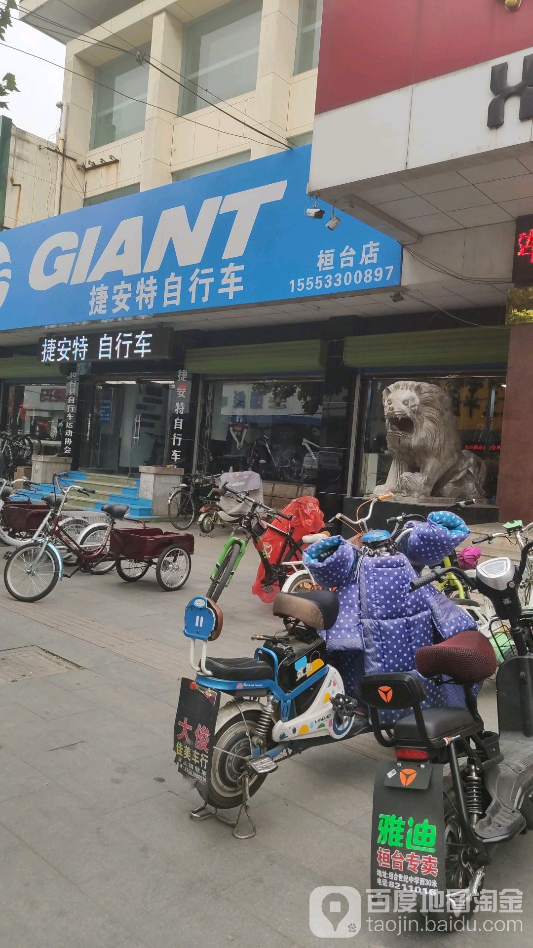 GIANT捷安特(桓台店)