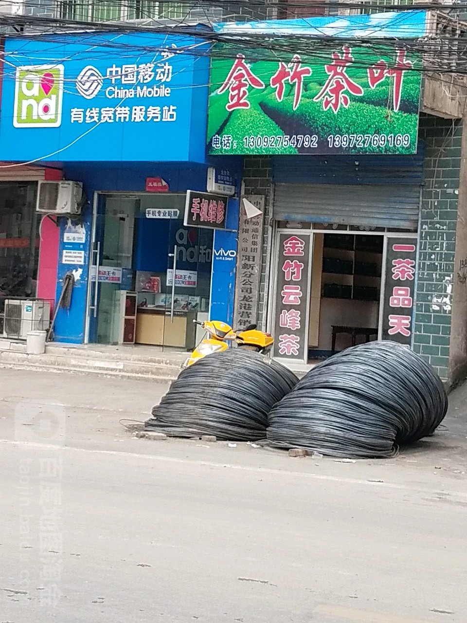 金竹茶叶