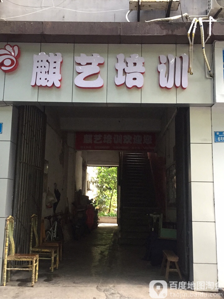 麒艺培训