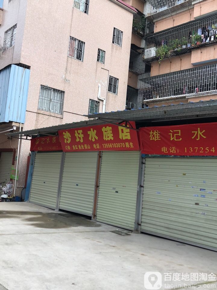 沙圩水族店