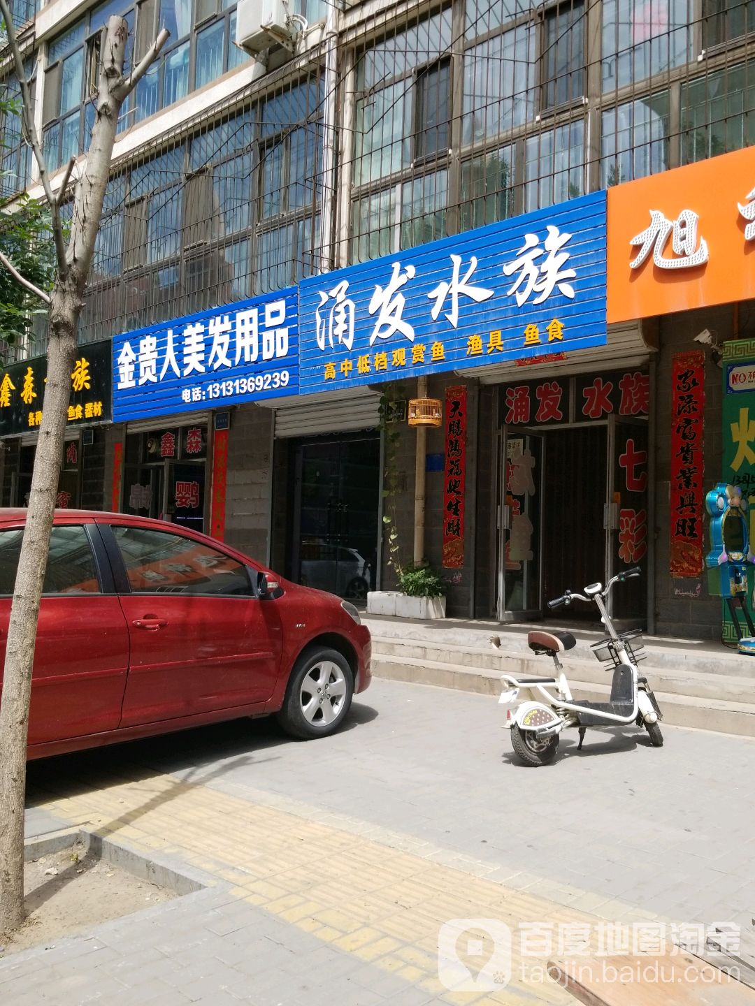 涌批发水族