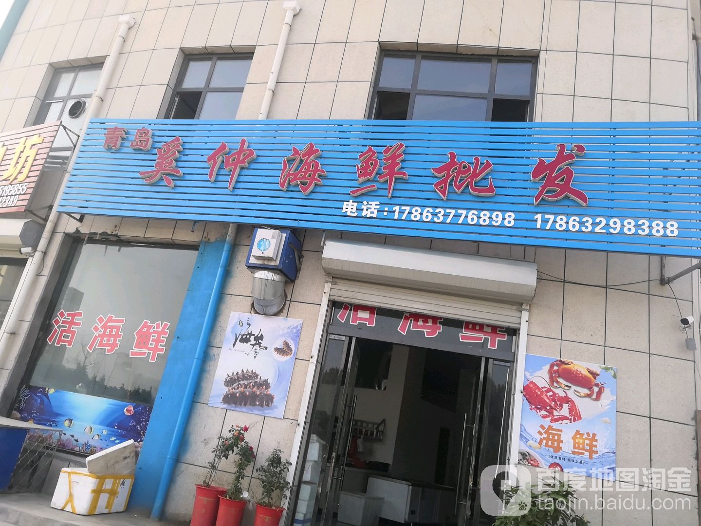 青岛奚仲海鲜批发