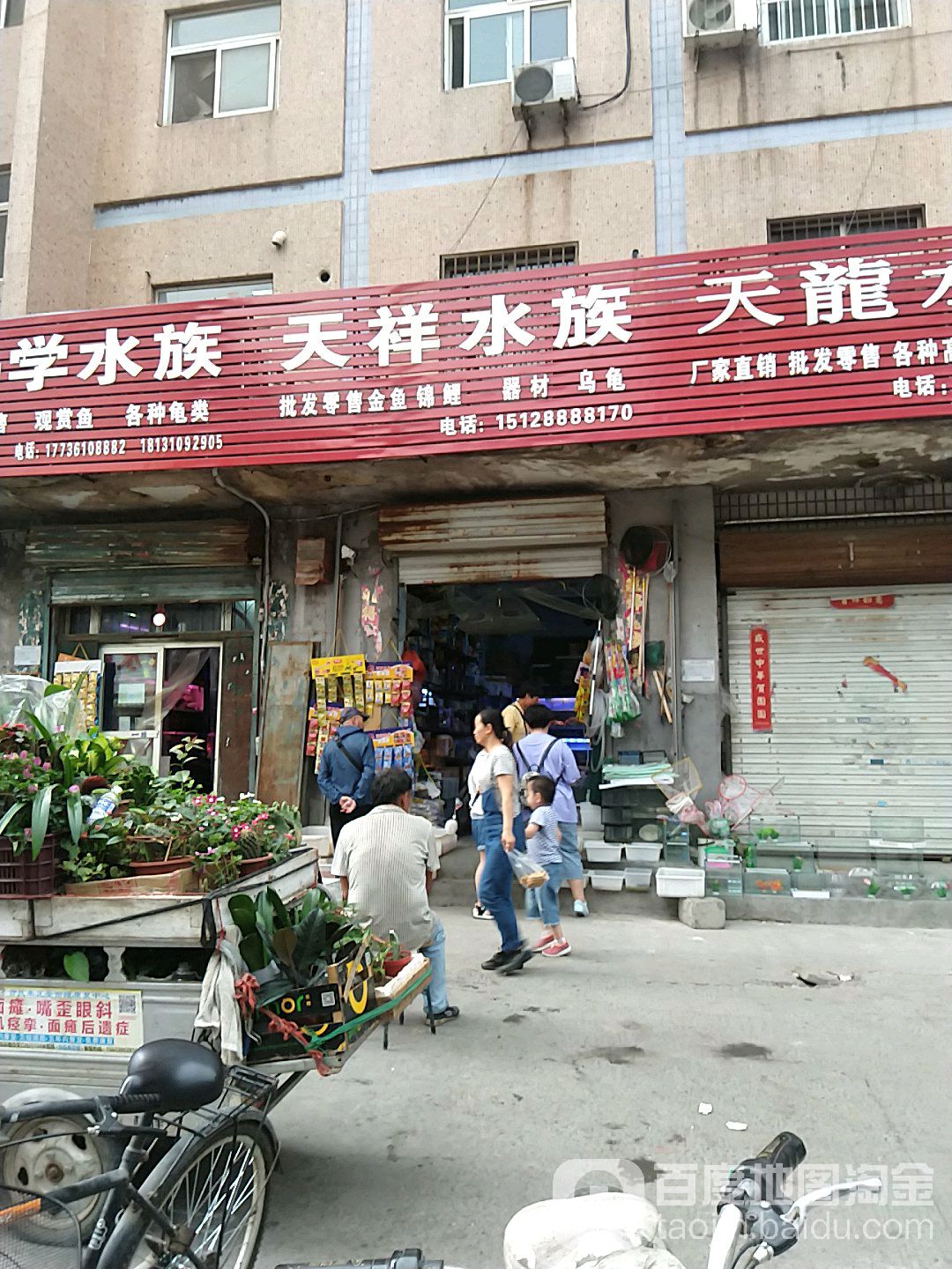 天祥水族(贸易街店)