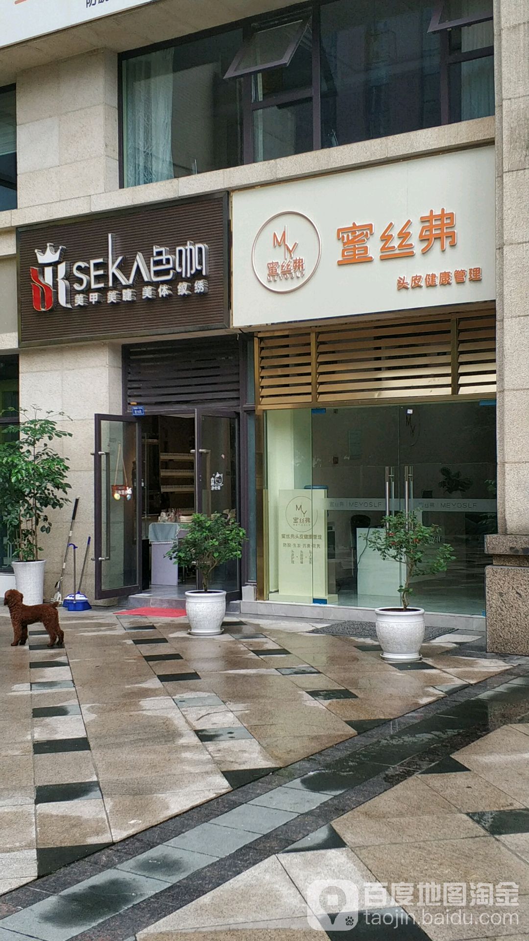 秋和蓓霓芬美甲美甲美容SPA(丽都店)