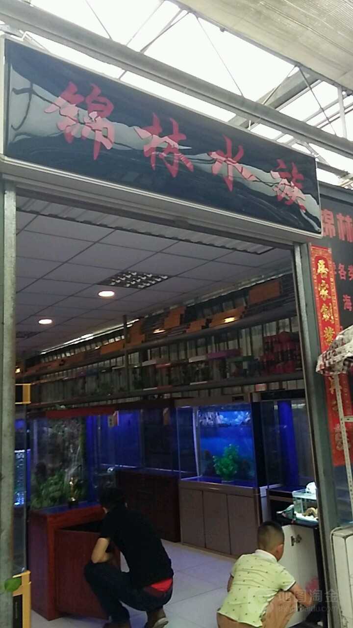 锦林水景