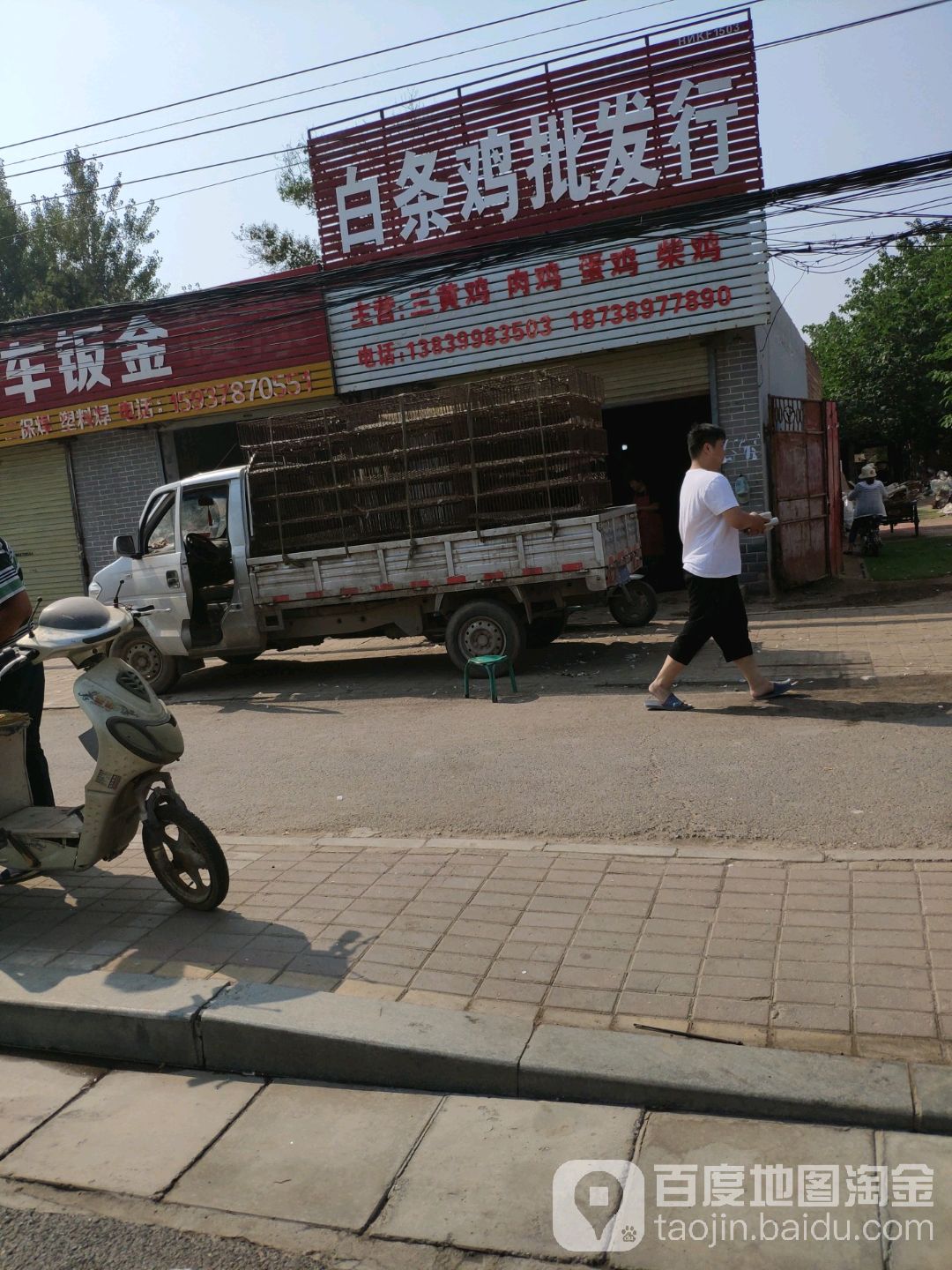 白条鸡批发部