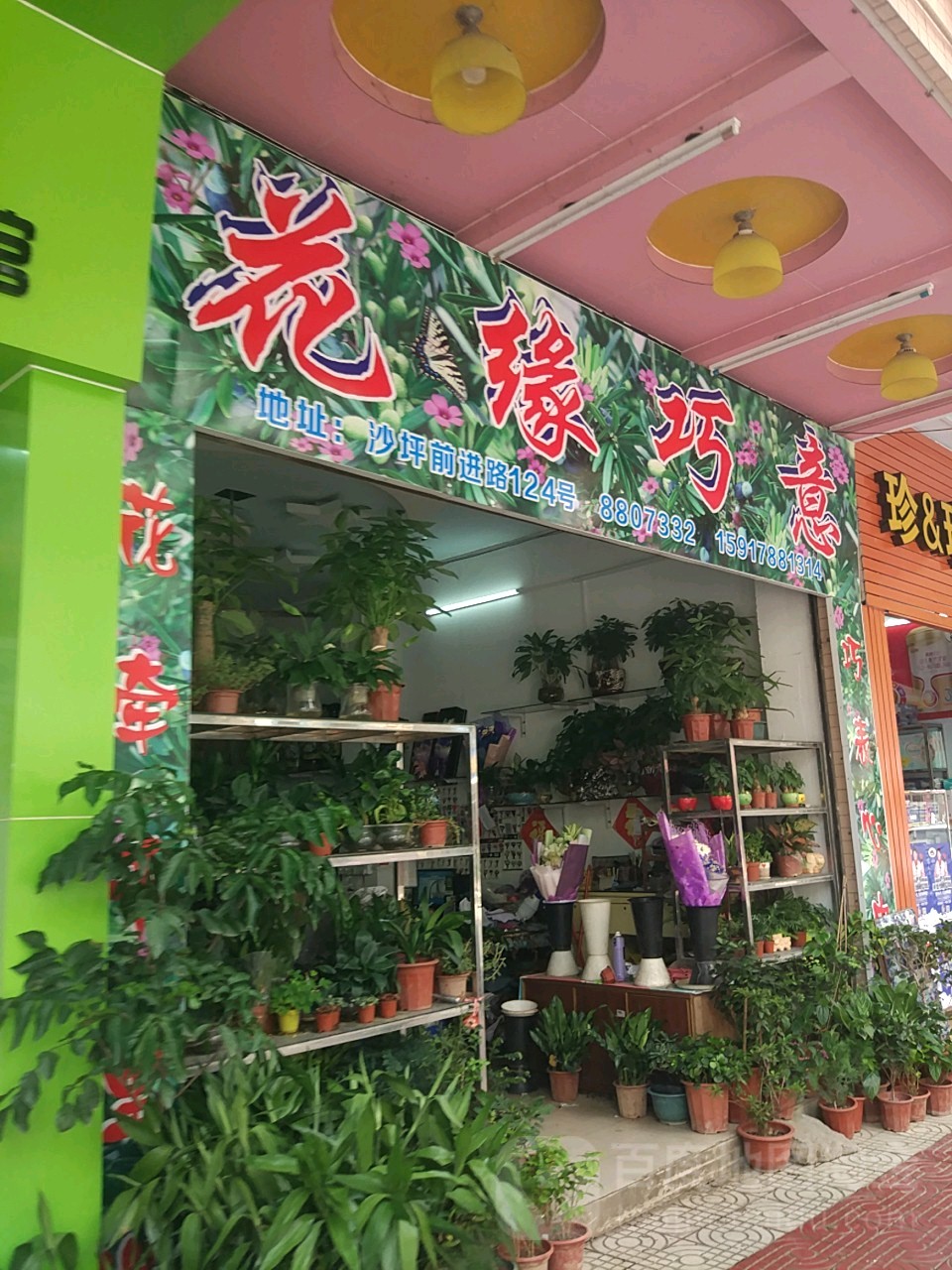 花缘巧意