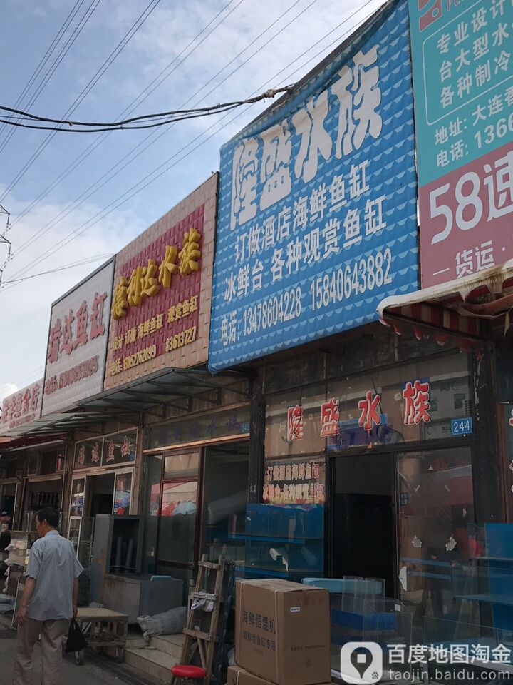 德利达水族