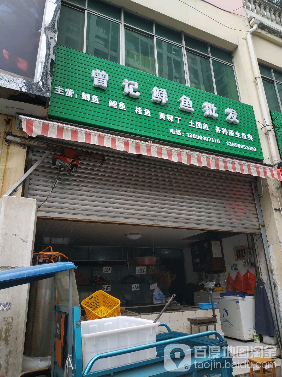 曾记鲜鱼批发