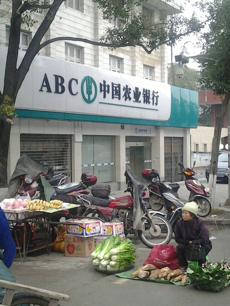 中国农业银行(怀化舞阳路支行)