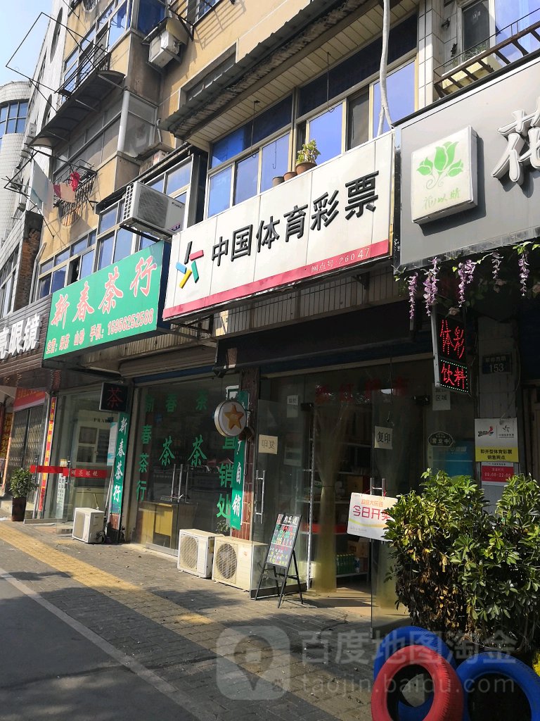 新春茶行