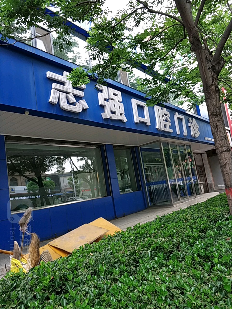 志强口腔(延安中路店)