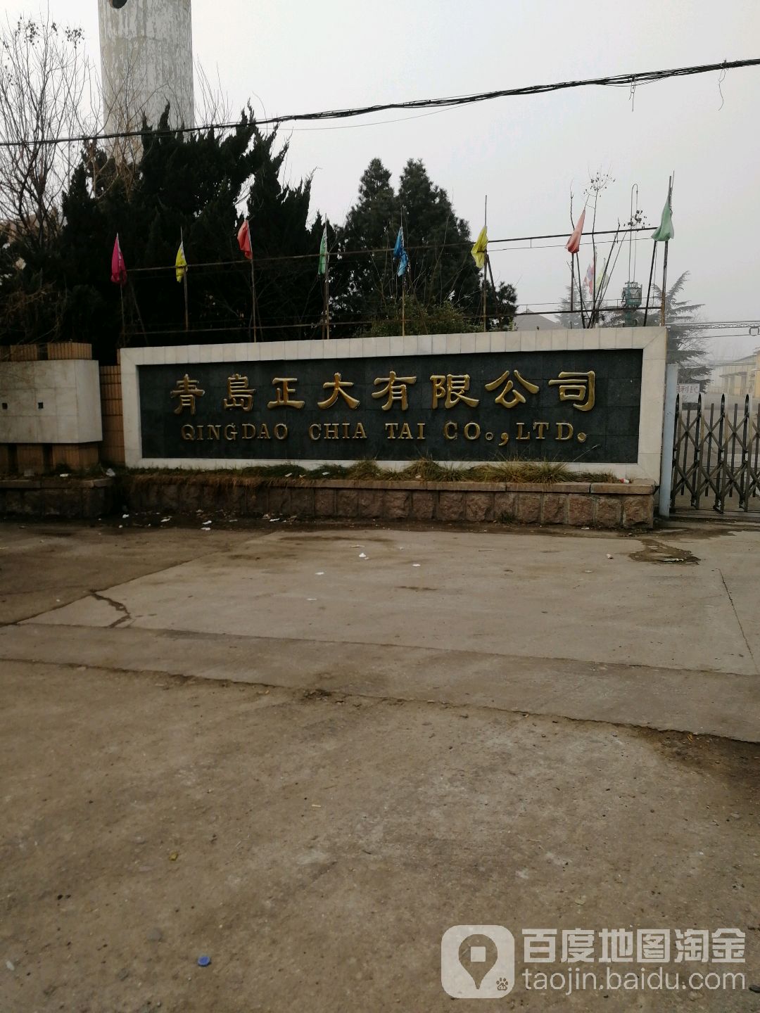 青岛正大有有限公司