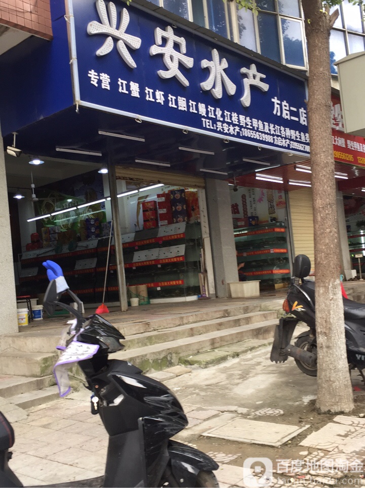 兴安水产(方启二店)