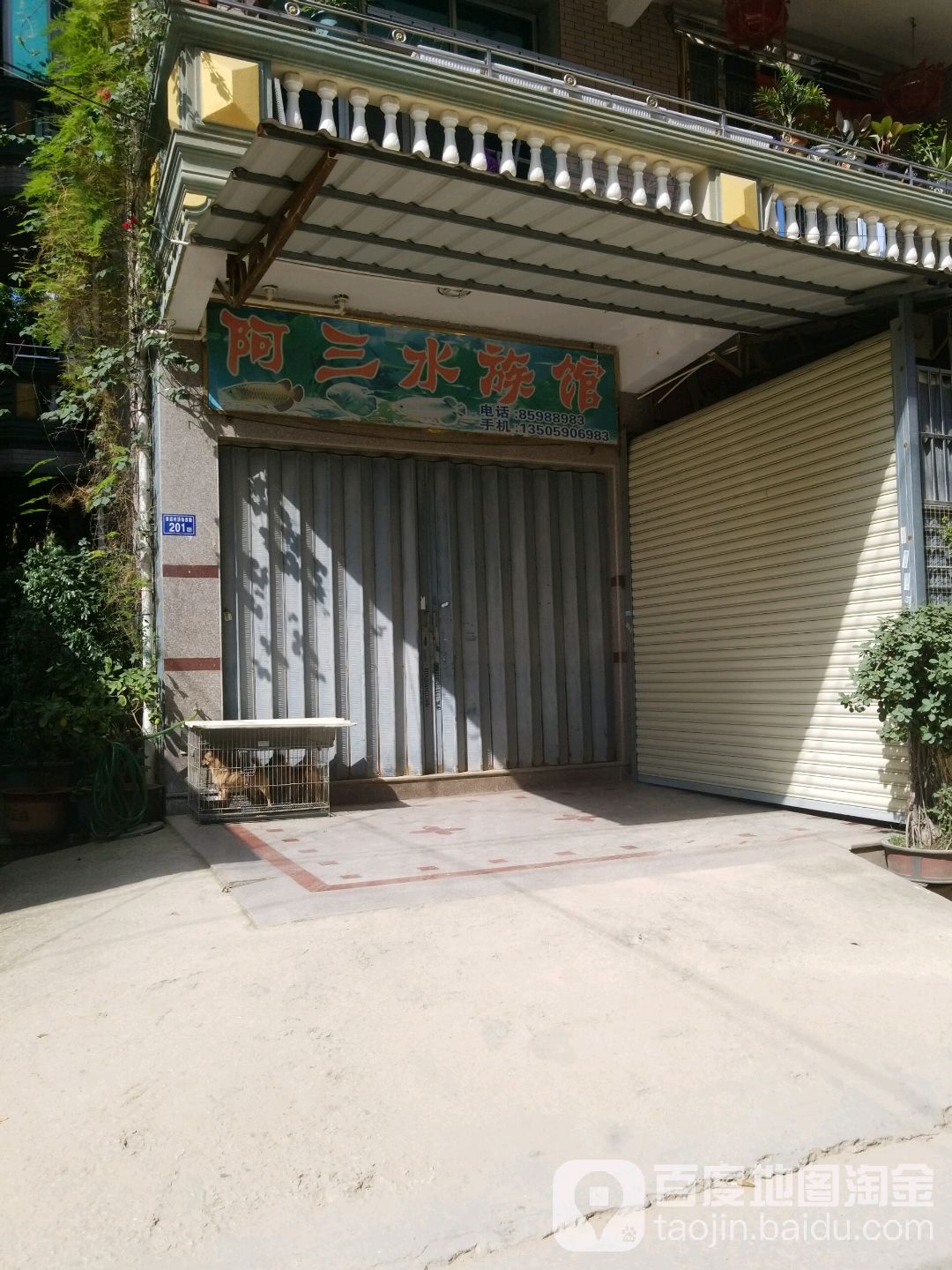 阿散水族馆