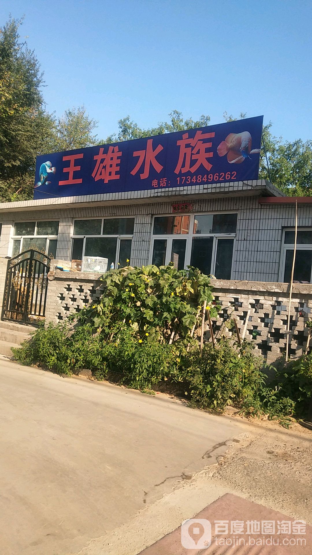 王雄水景