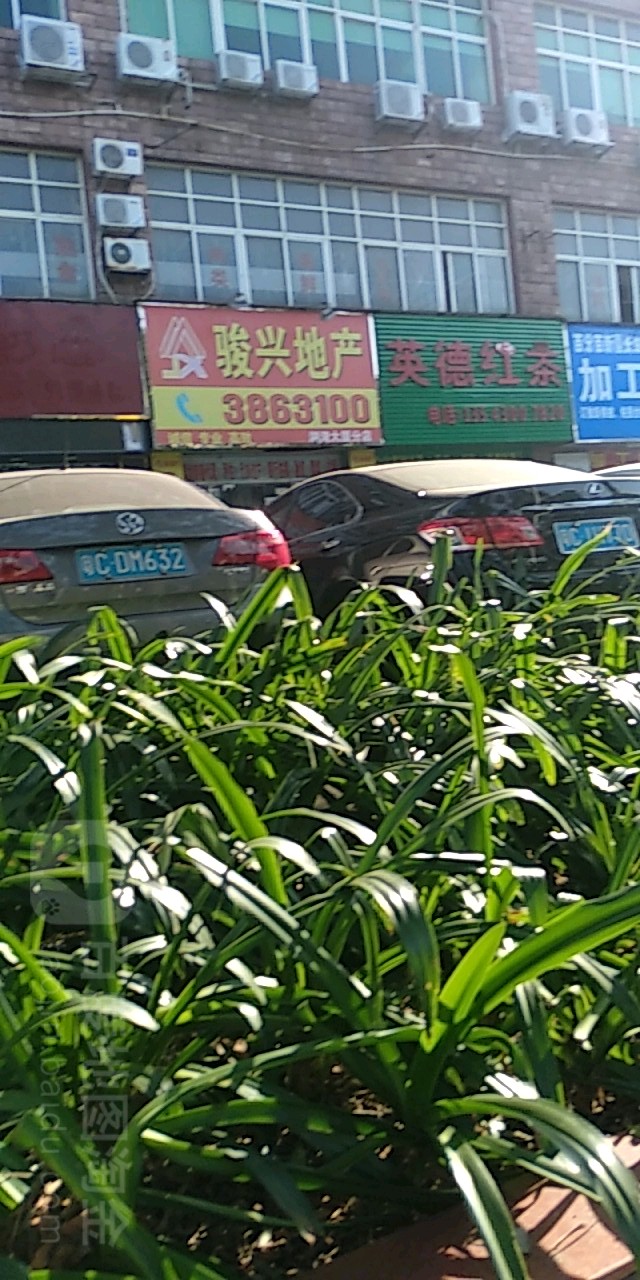 英德红茶(湖湾大厦店)