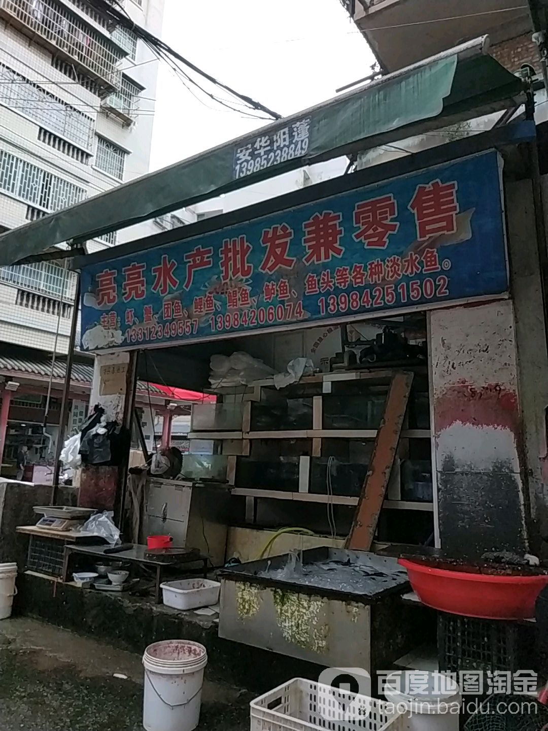 亮亮水产批发兼零售