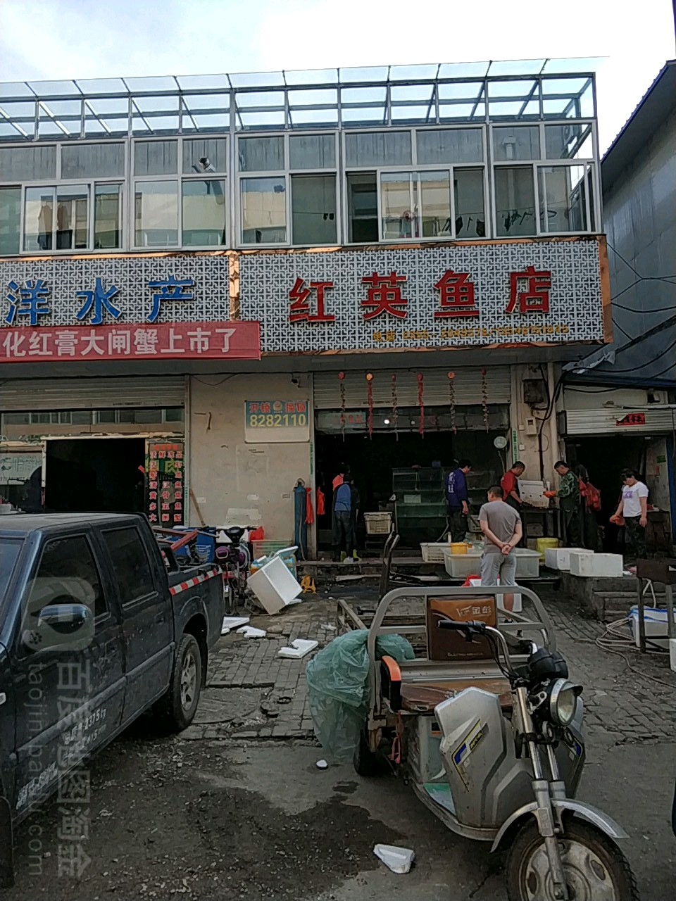 红英海鲜鱼活店