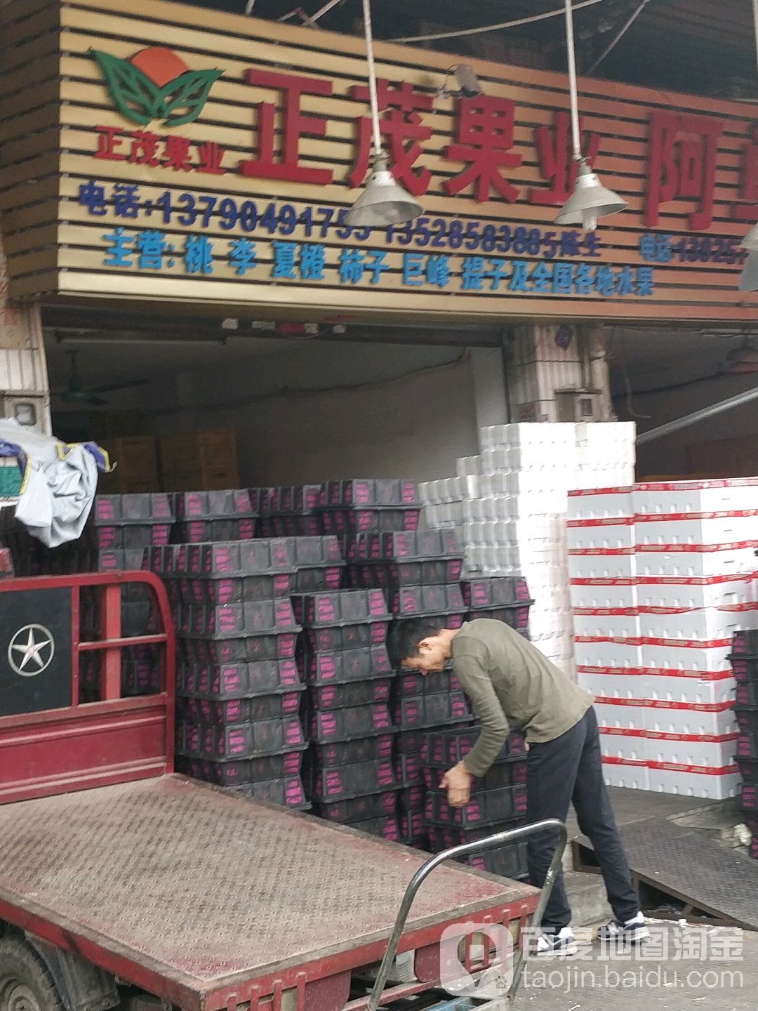正茂果业