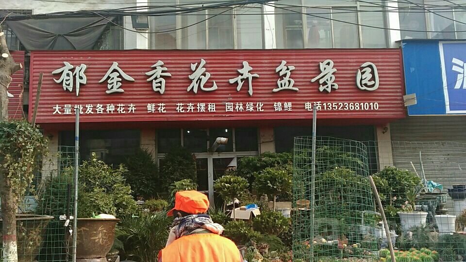 沈丘县槐店回族镇郁金香花卉盆景园