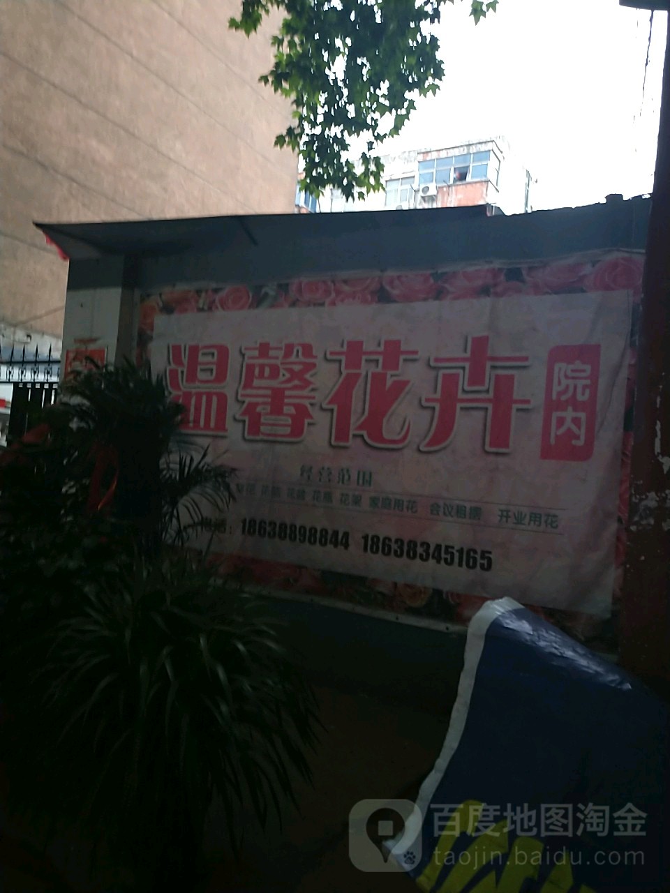 温馨花卉