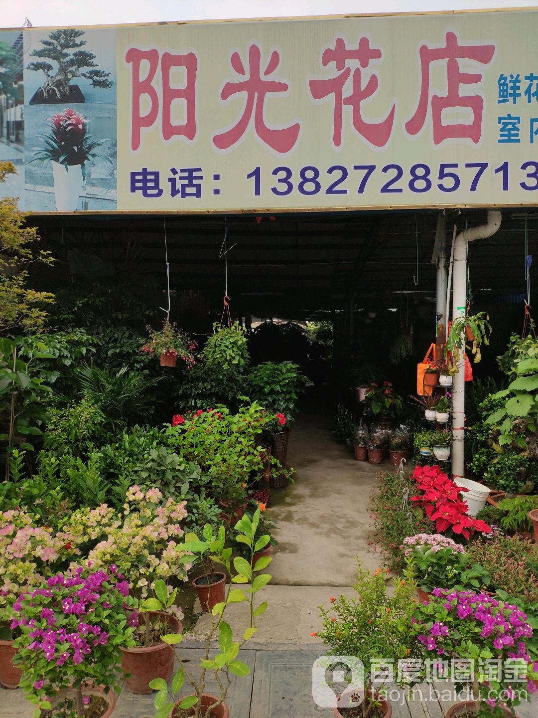 阳光花店