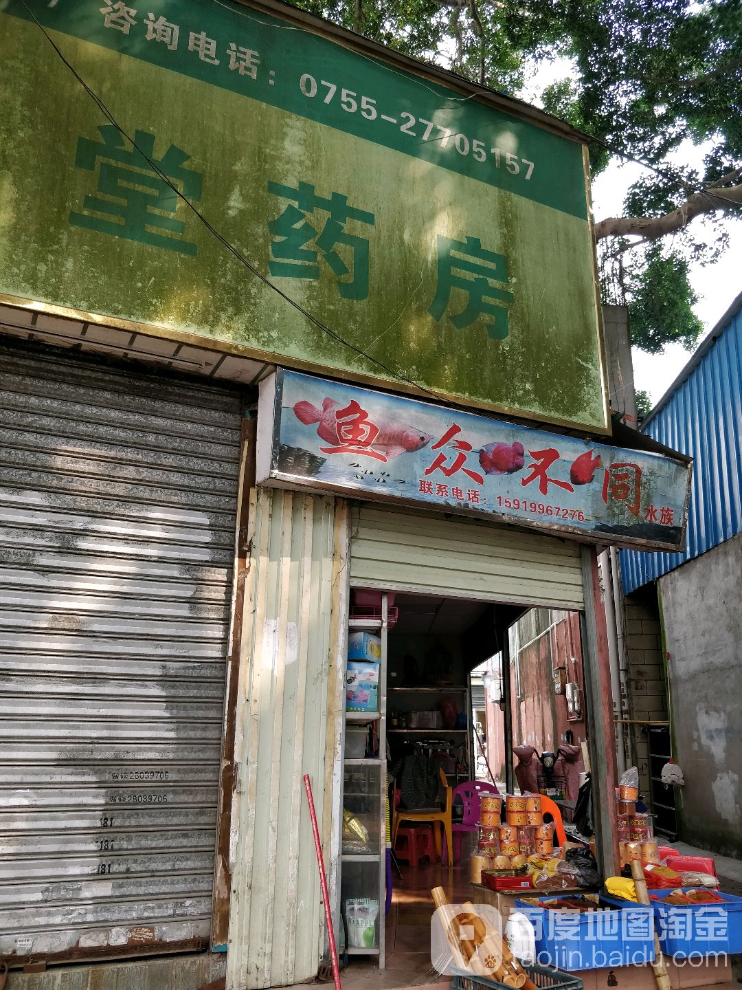鱼众不同水族