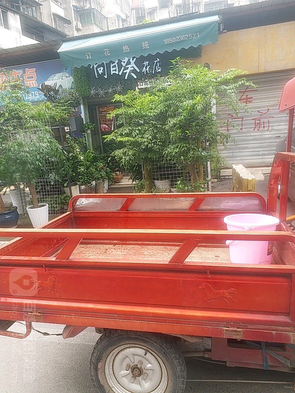 向日葵海店