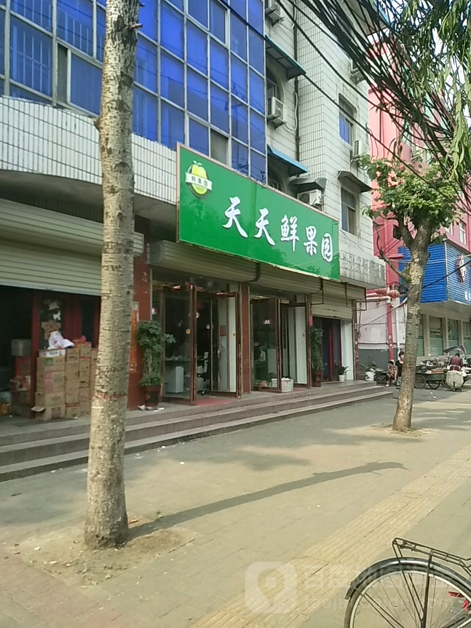 西平县天天鲜果园(棠溪大道店)