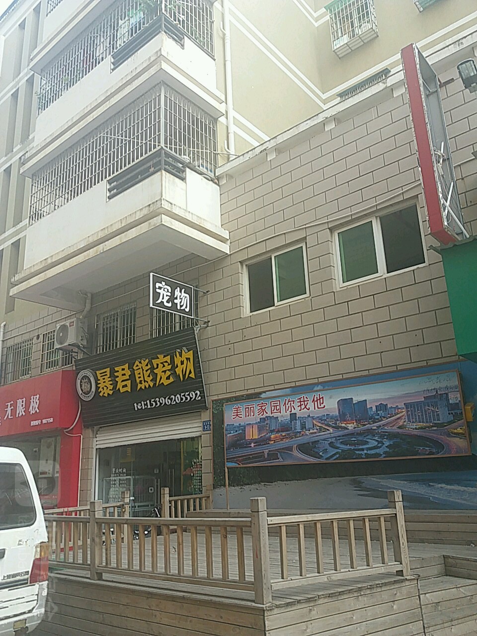 暴君熊宠物